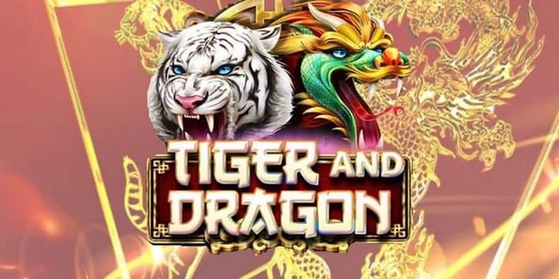 Hướng Dẫn Chi Tiết Cách Chơi Rồng Hổ Đơn Giản Luôn Thắng